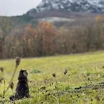 Cottage, Relax Nella Natura, Colline, Parcheggio, Wifi