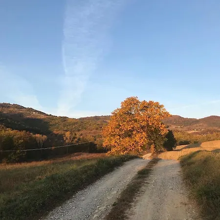 Cottage, Relax Nella Natura, Colline, Parcheggio, Wifi * Travo