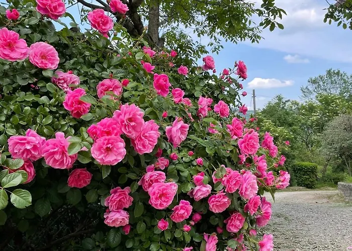 Cottage, Relax Nella Natura, Colline, Parcheggio, Wifi Feriehus Travo