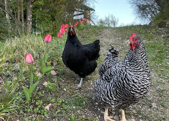Cottage, Relax Nella Natura, Colline, Parcheggio, Wifi Feriehus