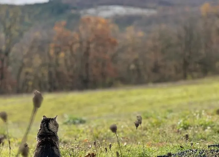 Cottage, Relax Nella Natura, Colline, Parcheggio, Wifi